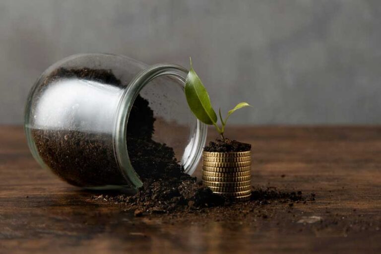 Investing with a Conscience Aligning Your Portfolio with Sustainable Values